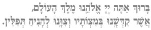 Baruch ata Adonai elohanynu melech ha'olam asher kidshanu b’mitzvotav vetzivanu lehani'ach tefillin.