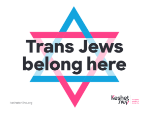 Image shows a star of David made of interlocking Pink and blue triangles. Over the text is the phrase "Trans Jews belong here" in black writing.