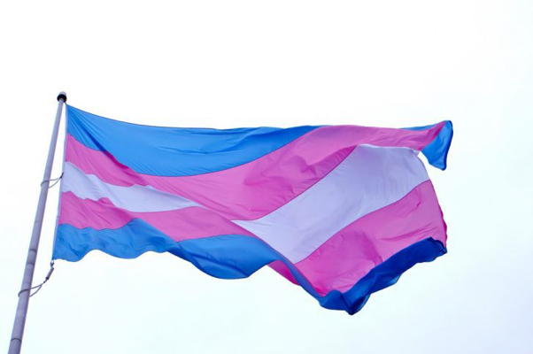 Image of the transgender flag flying in the air.