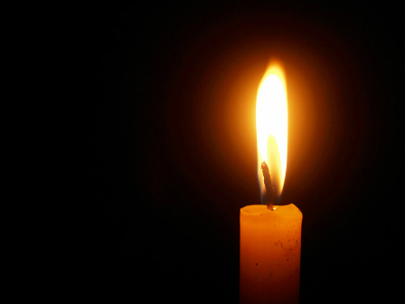 Ways to Commemorate Transgender Day of Remembrance and Resilience