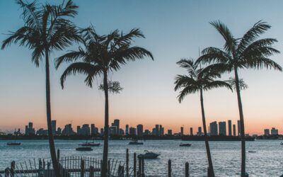 Fighting in Florida | The Keshet Week