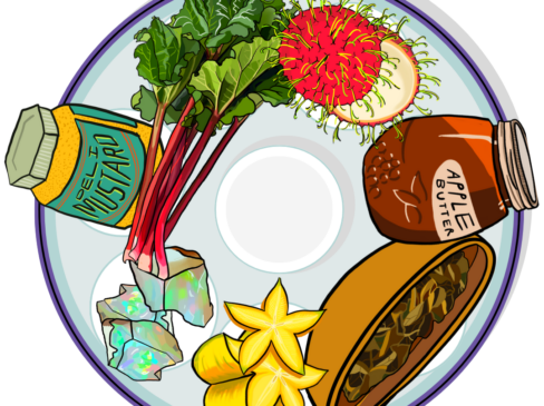 My Seder