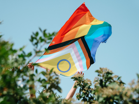 Ways You Can Show Up for Pride in 2024