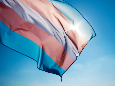 Trans Day of Visibility: Legal protections for trans people are long overdue