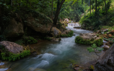 Reflections on the River: Queerness, Jewishness, and Belonging