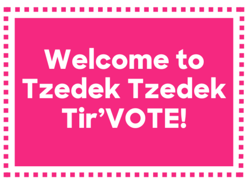 Welcome to Tzedek Tzedek Tir’VOTE!
