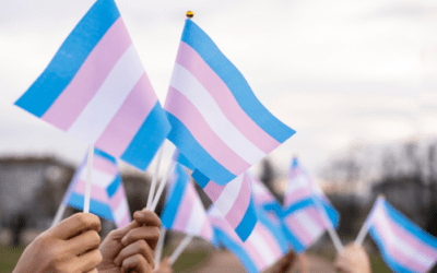 Parshat Ki Teitzei: What a Lost Ox Has to Do with Trans Rights 